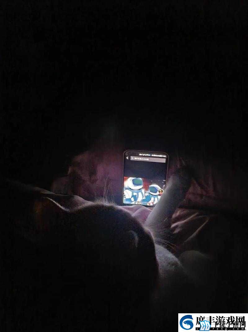 男生半夜不睡觉偷偷看-b-站：背后的秘密